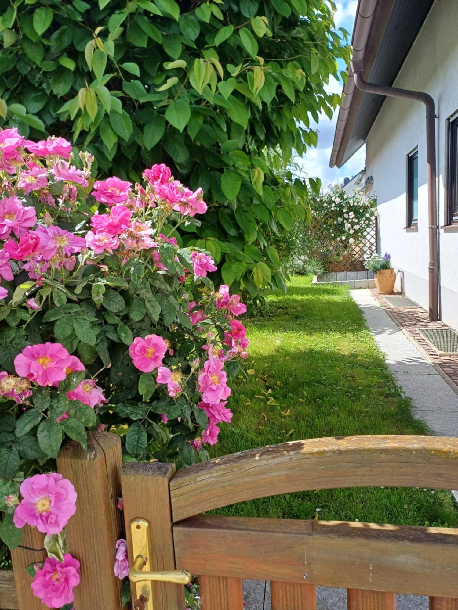 Ferienwohnung Unter Dem Sonnberg Auggen Exteriér fotografie
